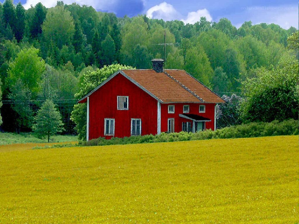 Red barn in a yellow field