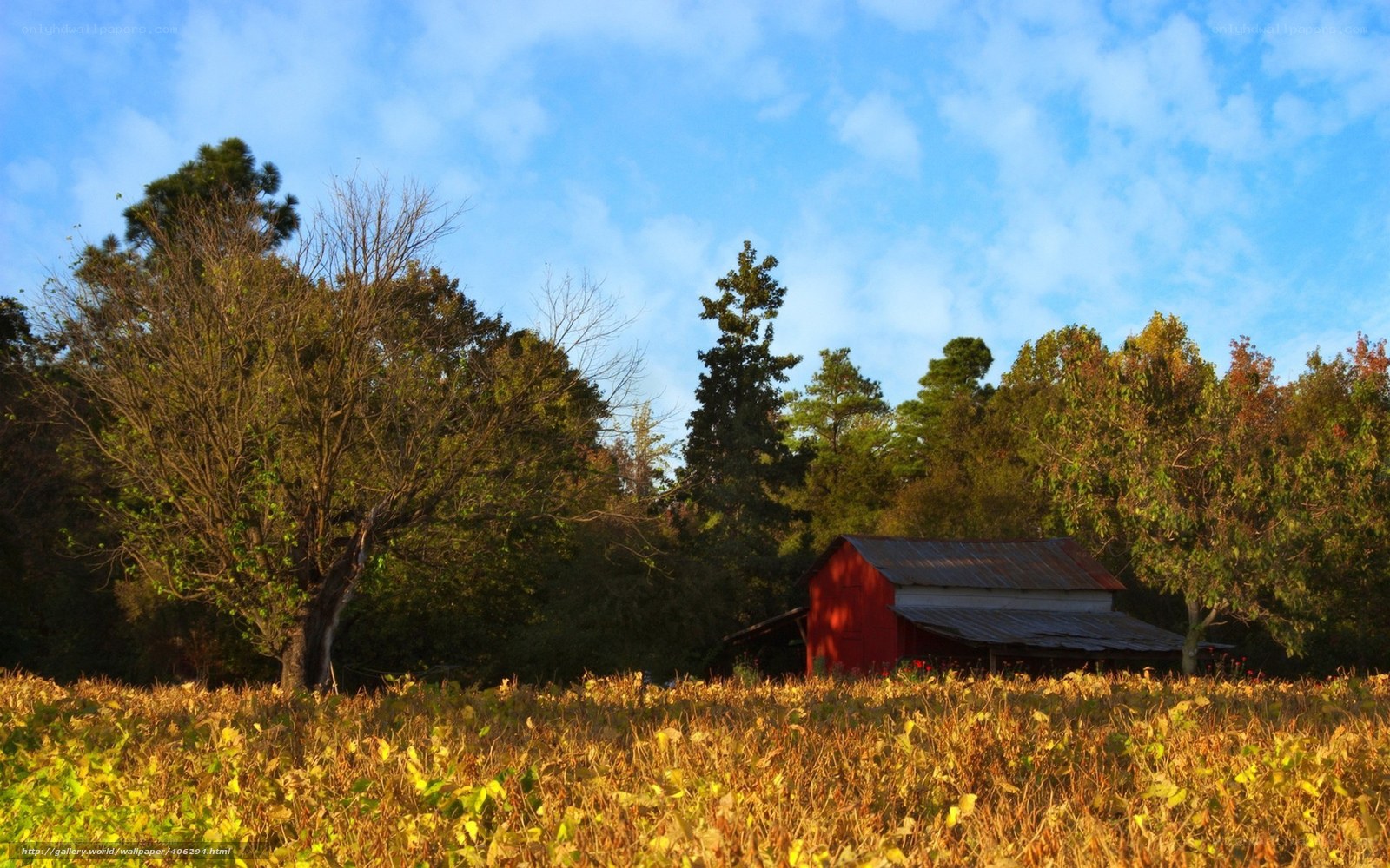 Red barn in autumn field