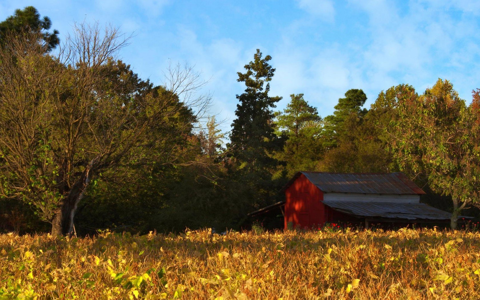 Red barn in autumn field