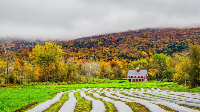Red Barn in Autumn Field — Green, Serene