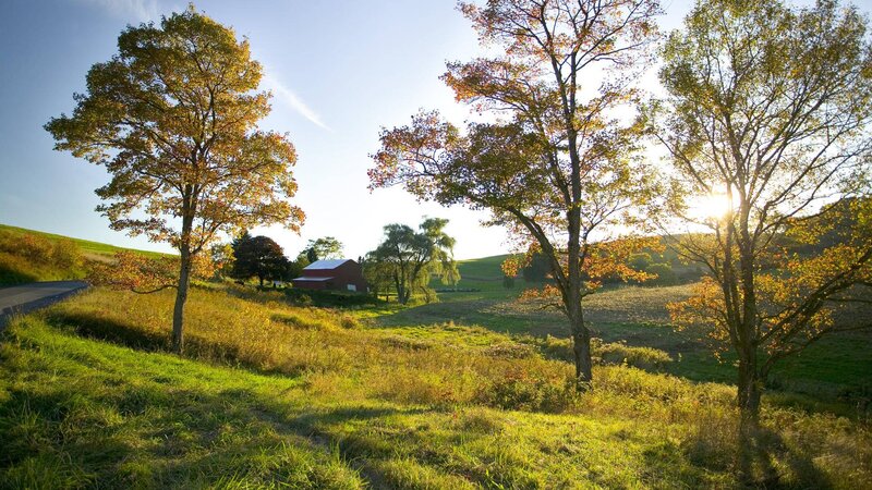 Red Barn in Autumn Field — Green