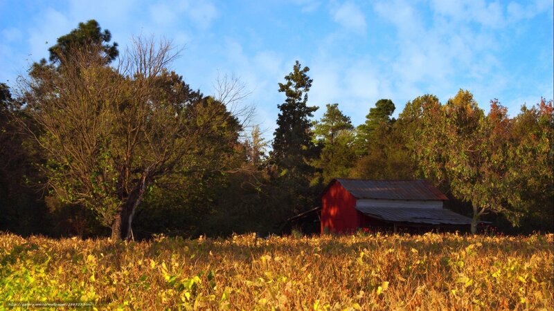 Red barn in autumn field