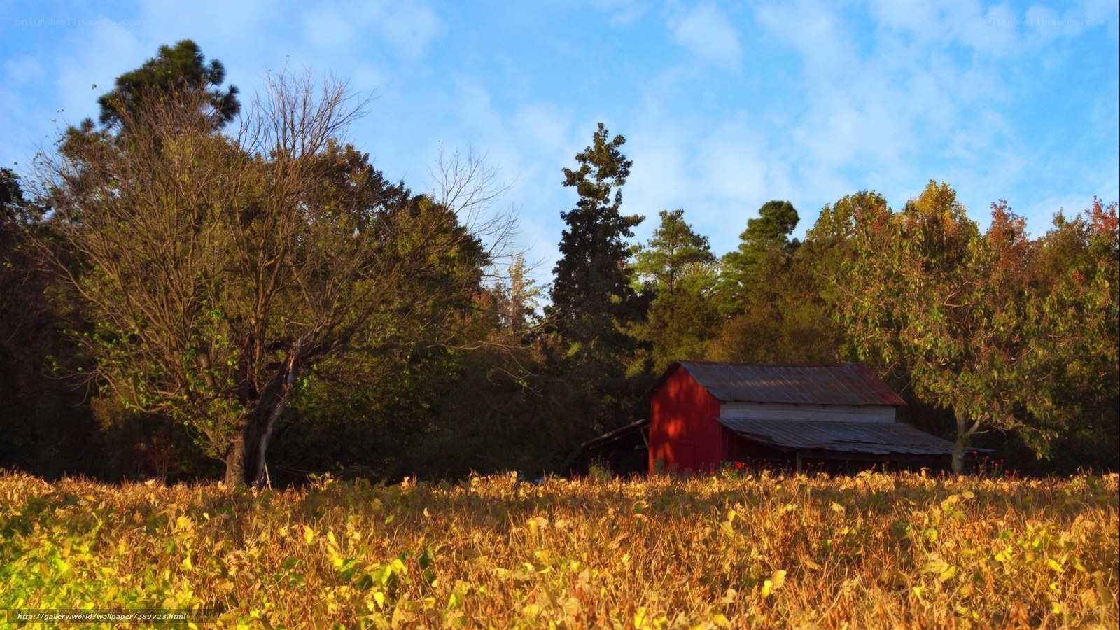 Red barn in autumn field