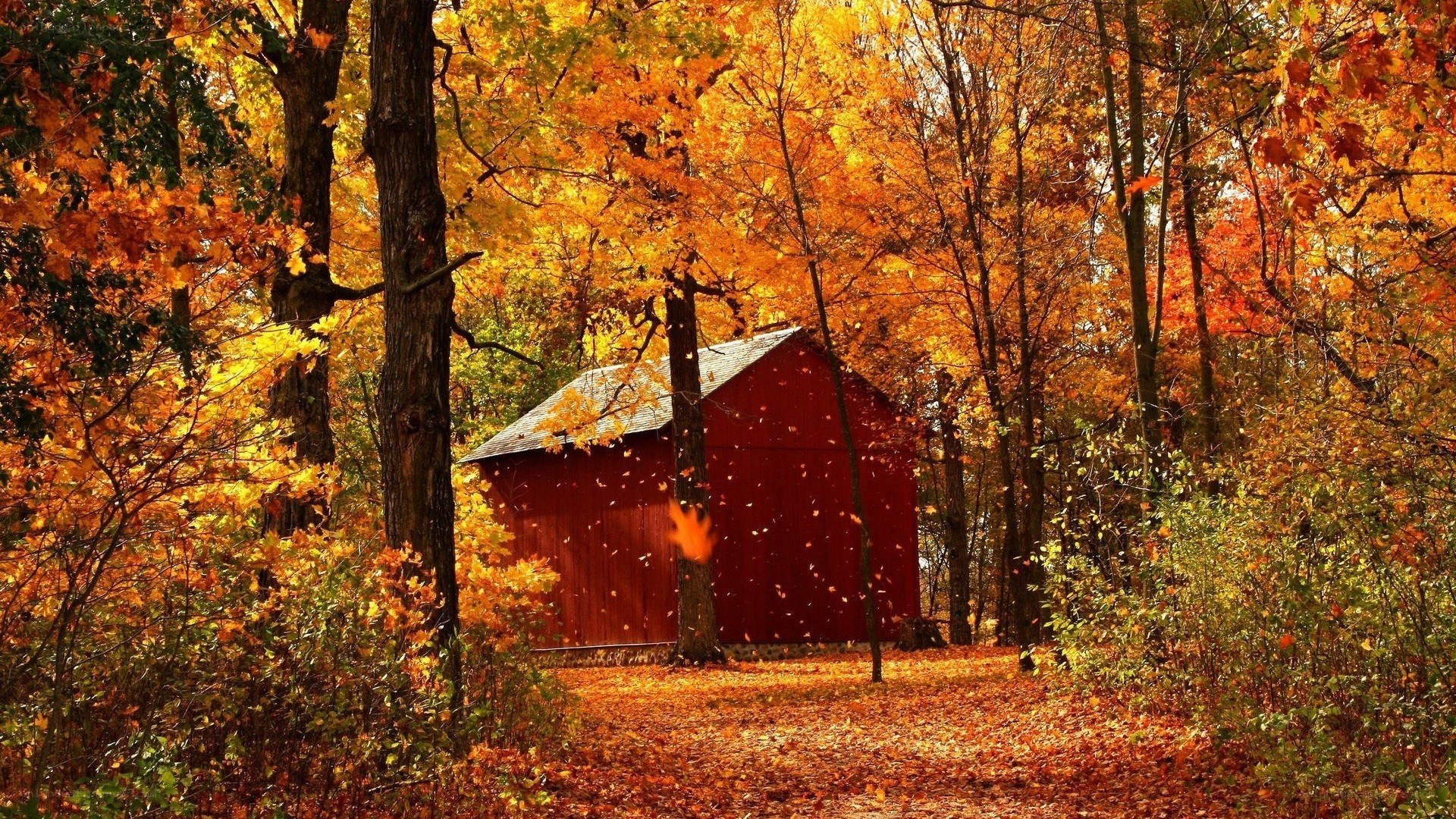 Red barn in autumn forest