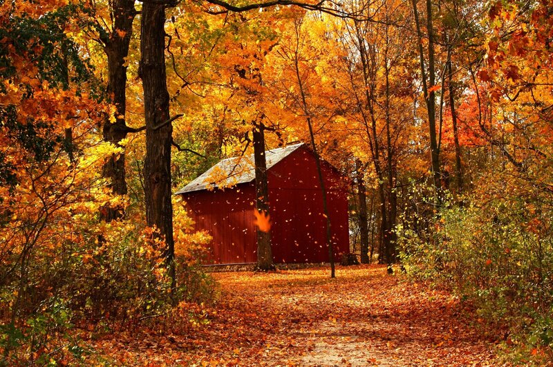 Red Barn in Autumn Forest — Orange