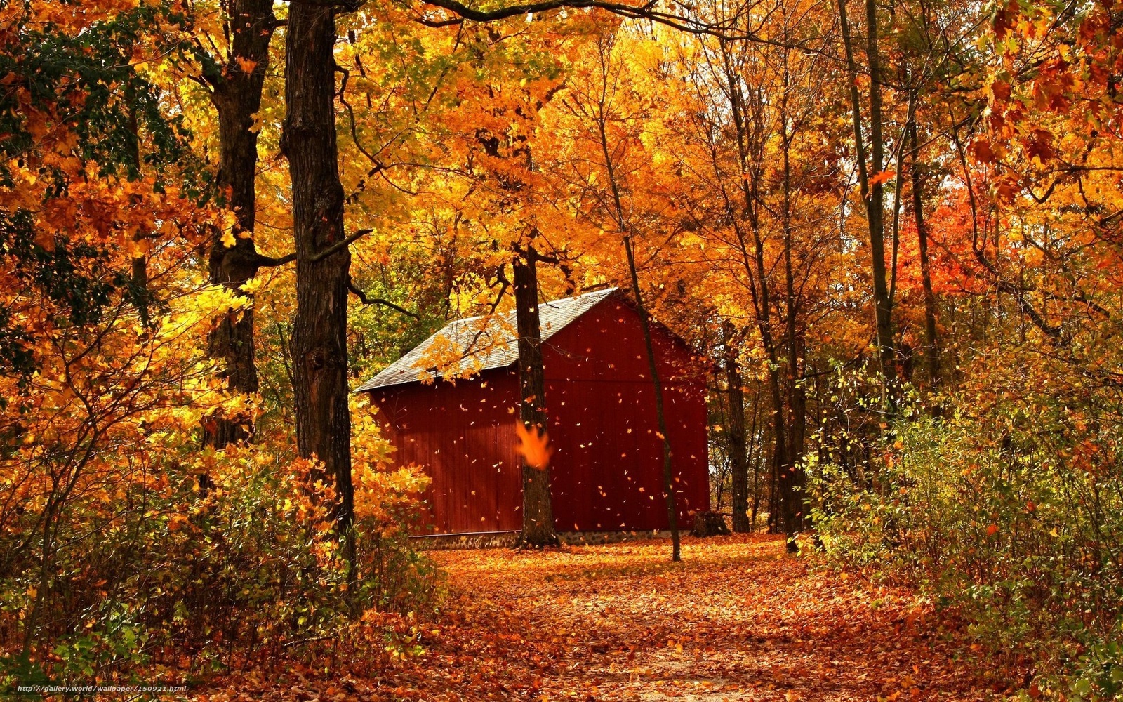 Red barn in autumn forest