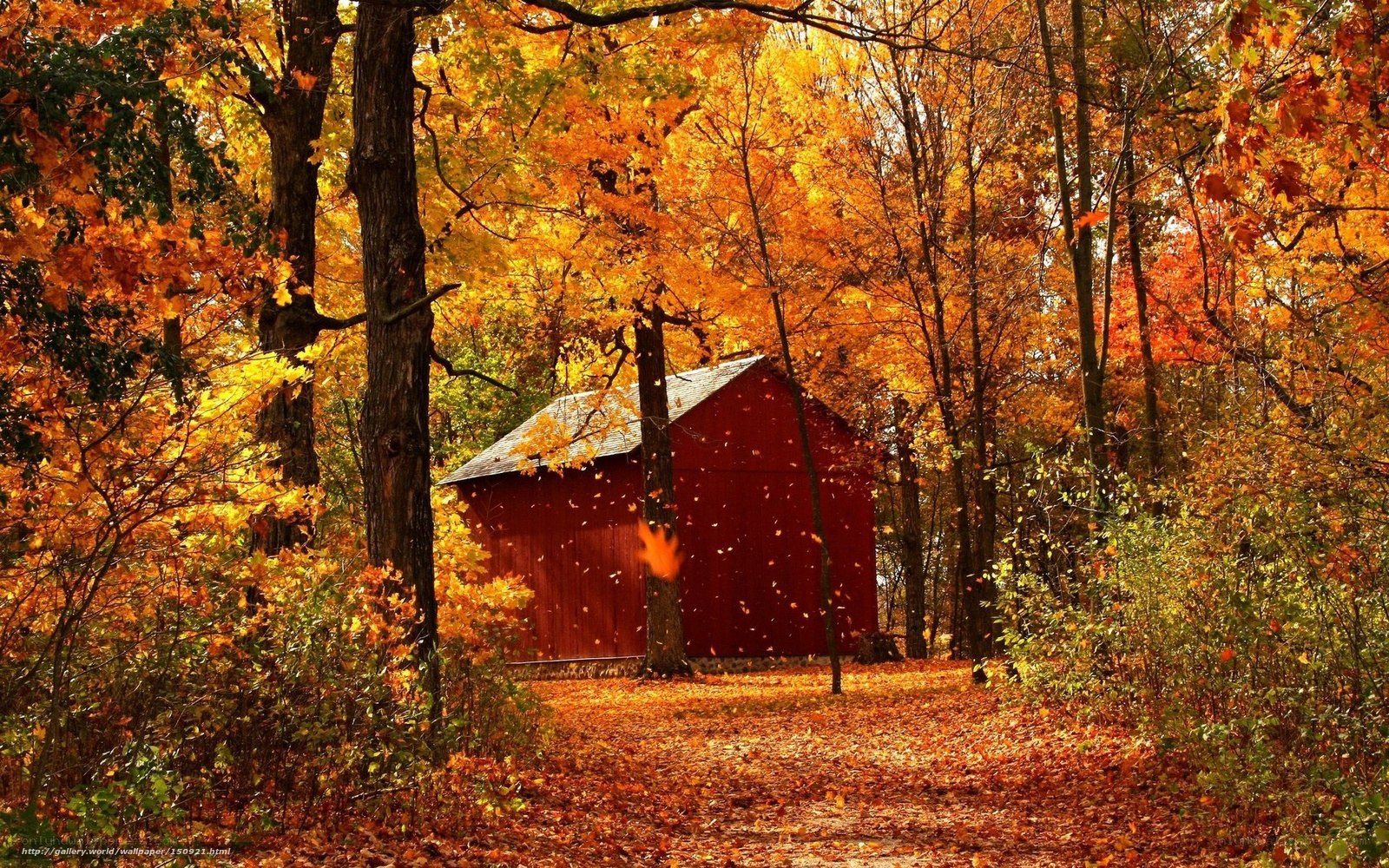 Red barn in autumn forest
