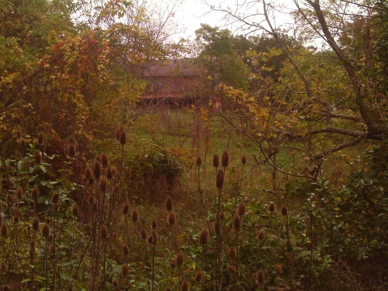 Red Barn in Autumn — Green
