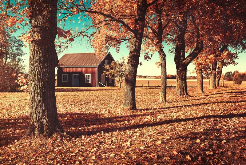 Red Barn in Autumn — Orange, Serene, Photograph