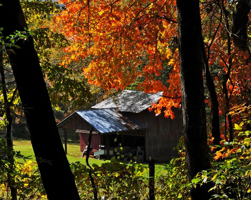Red Barn in Autumn — Orange, Serene, Photograph, Trees, Leaves