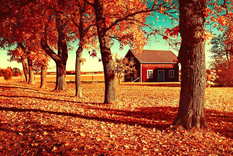 Red Barn in Autumn — Orange, Serene, Photograph, Trees