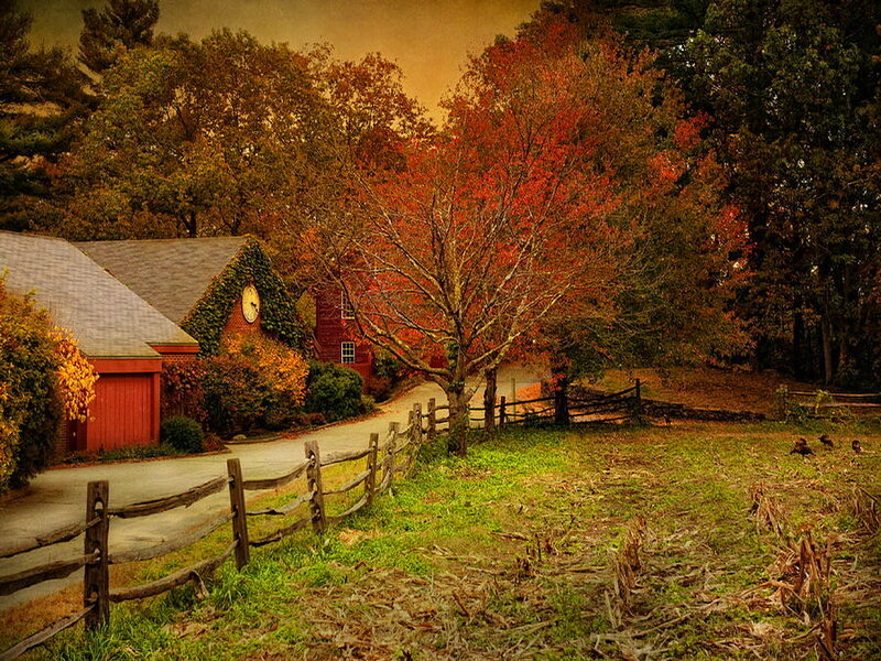 Red Barn in Autumn — Serene, Photograph