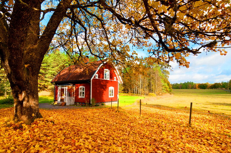 Red Barn in Autumn — Serene, Photograph, Tree, Leaves