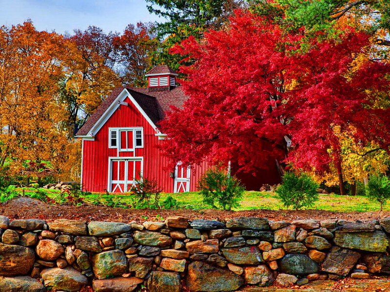 Red Barn in Autumn — Serene, Photograph, Tree