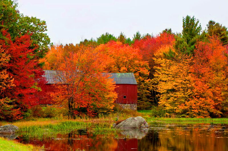 Red Barn in Autumn — Serene, Photograph, Trees, Pond