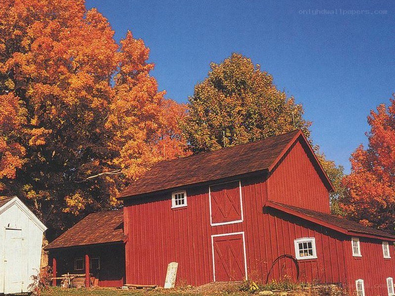 Red barn in autumn
