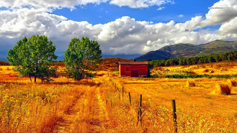 Red Barn in Field — Blue, Dramatic, Afternoon, Photograph