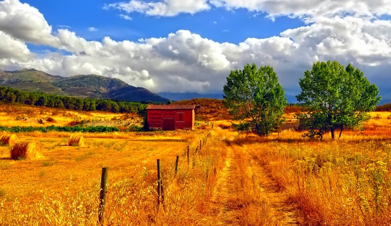 Red Barn in Field — Blue, Dramatic, Afternoon