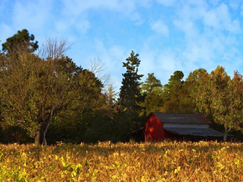 Red Barn in Field — Blue, Serene, Afternoon