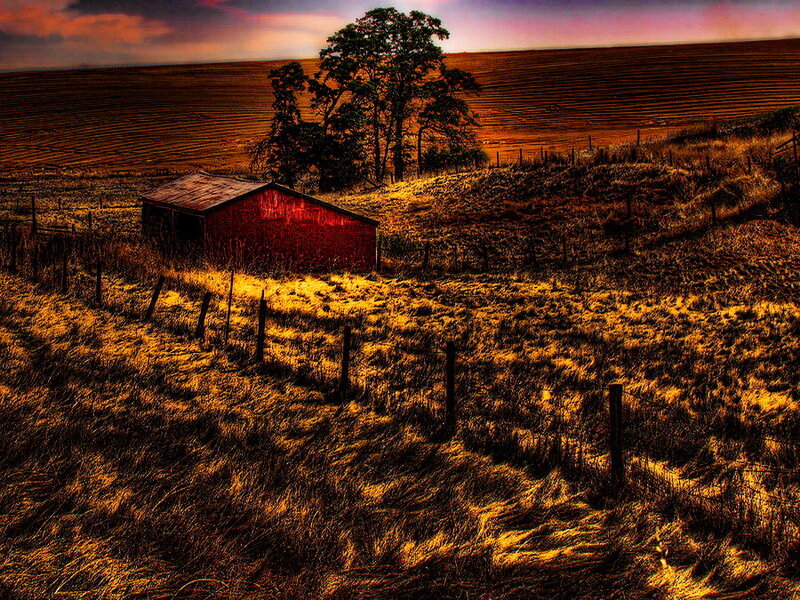 Red Barn in Field — Brown