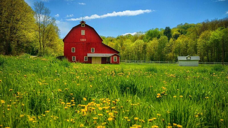 Red Barn in Field — Green, Serene, Spring, Photograph