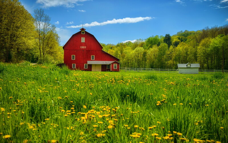 Red Barn in Field — Green, Serene, Spring