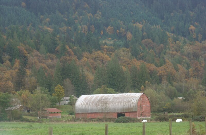 Red Barn in Field — Green