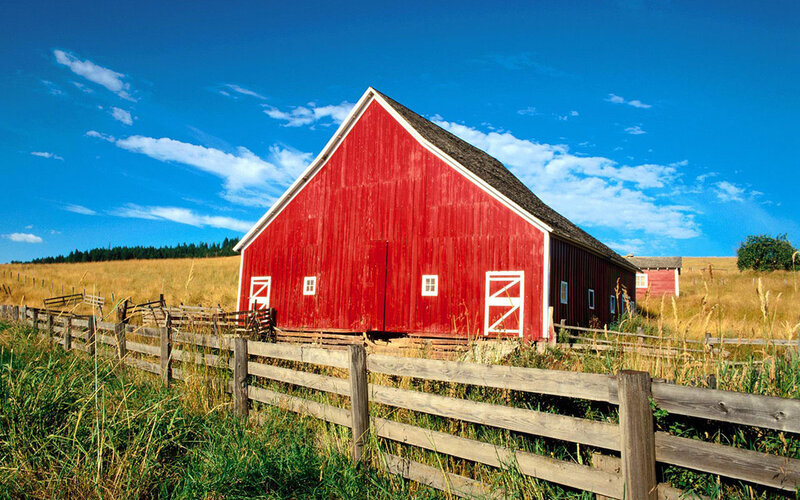Red Barn in Field — Serene, Afternoon, Photograph