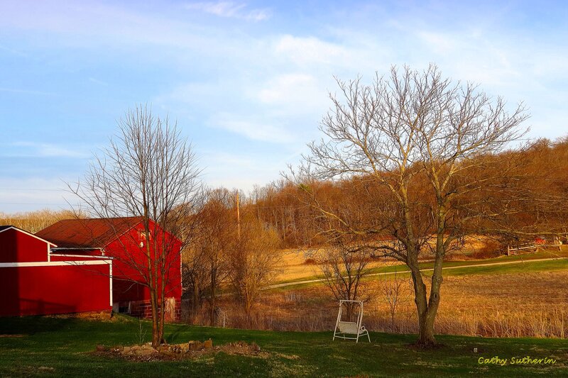 Red Barn in Field — Serene, Autumn, Photograph, Trees