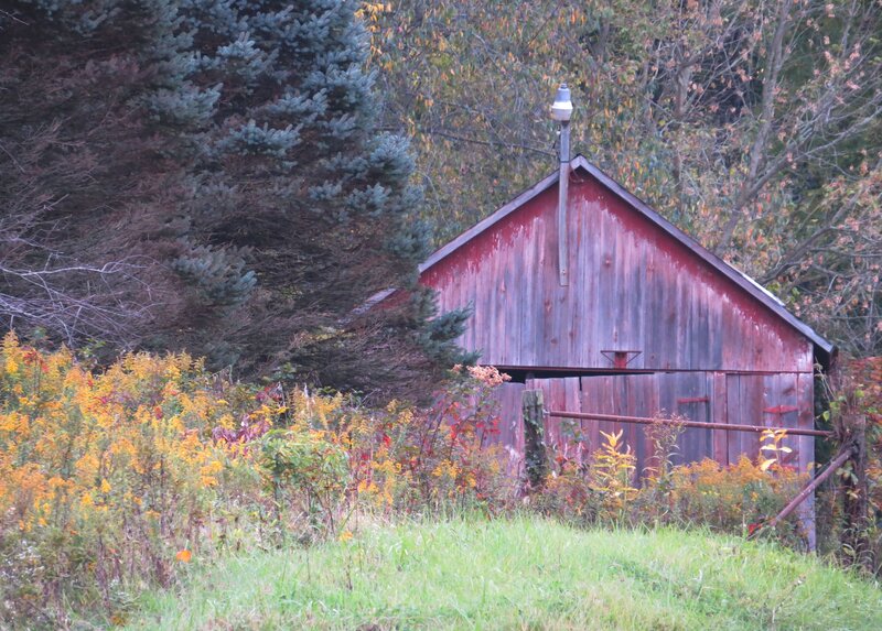 Red Barn in Field — Serene, Autumn