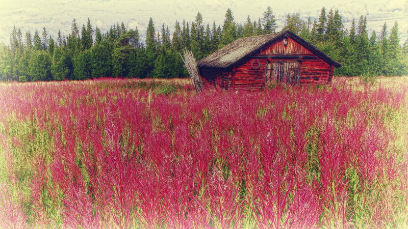 Red Barn in Field — Serene