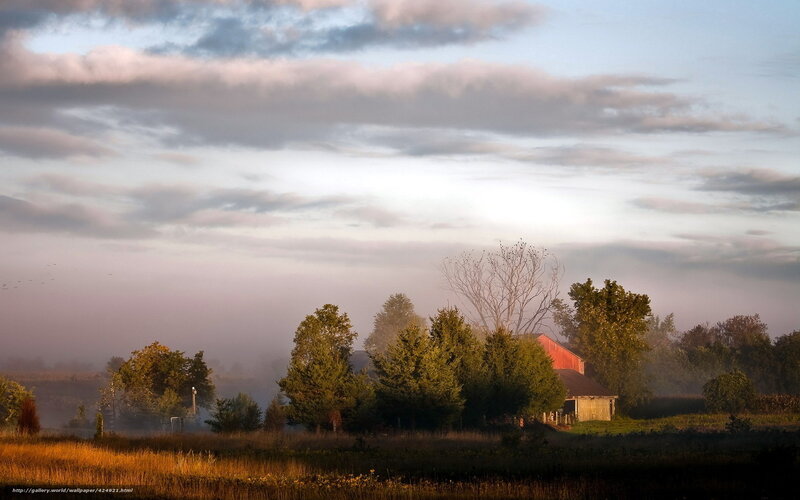 Red Barn in Fog — Green
