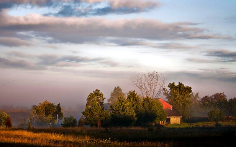 Red Barn in Fog