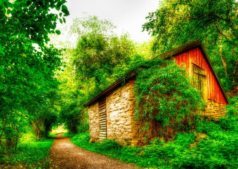 Red Barn in Forest — Green
