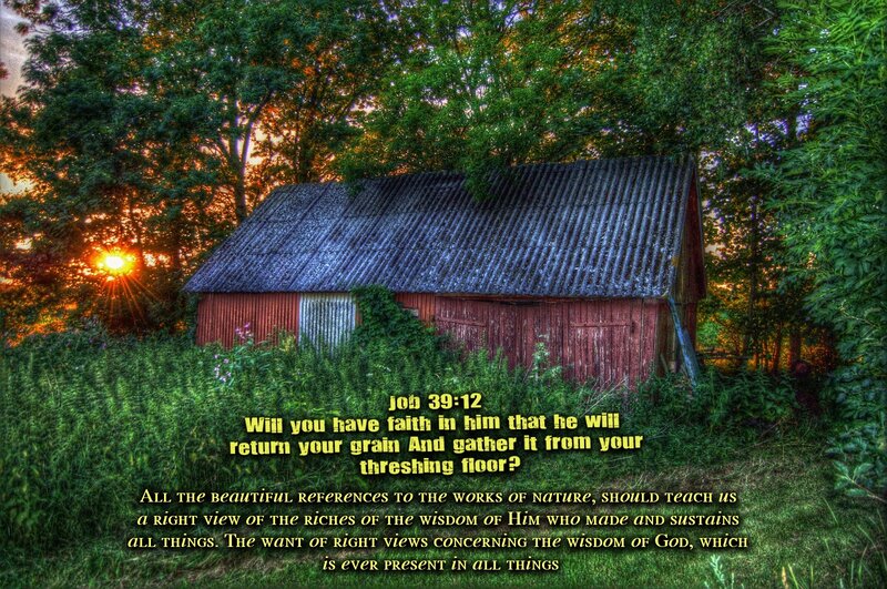 Red Barn in Forest