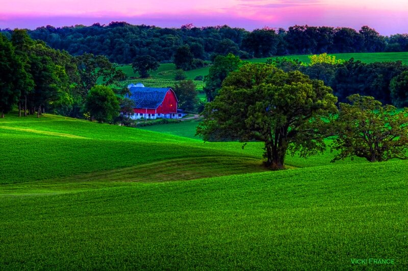 Red Barn in Green Field — Serene