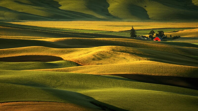 Red Barn in Rolling Hills