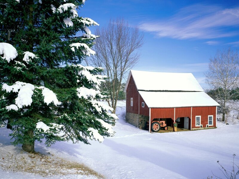 Red Barn in Snow — Serene, Winter, Photograph, Evergreen Tree