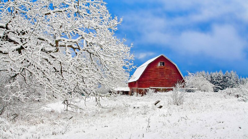 Red Barn in Snow — Serene, Winter, Photograph, Snow-covered Trees, Blue Sky