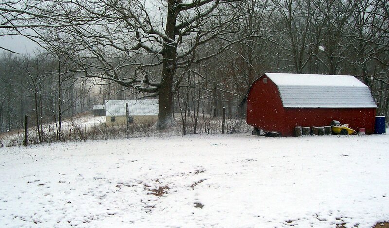 Red Barn in Snow — White, Calm