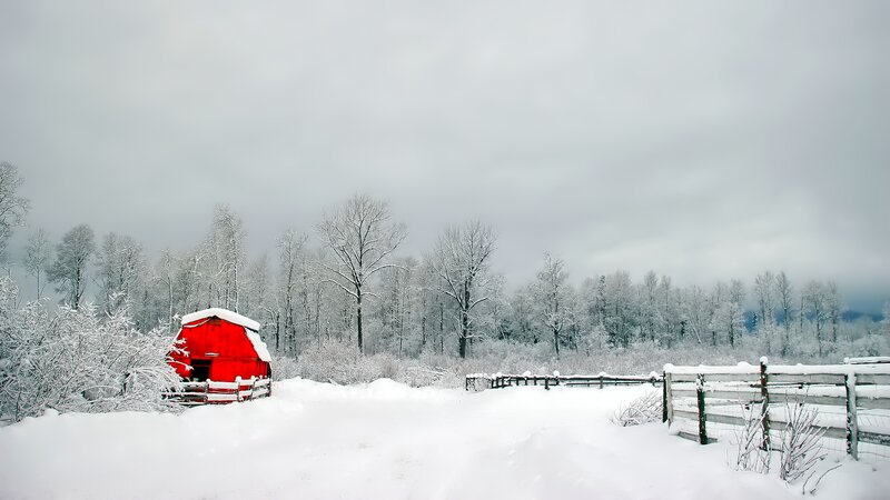 Red Barn in Snow — White, Serene, Winter, Photograph, Fence, Trees