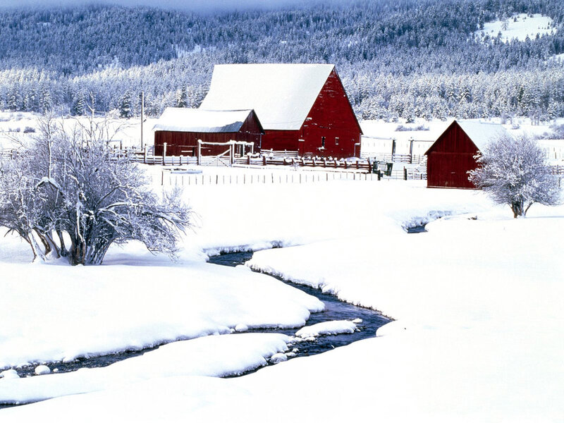 Red Barn in Snow — White, Serene, Winter, Photograph, Stream, Trees, Forest, Green