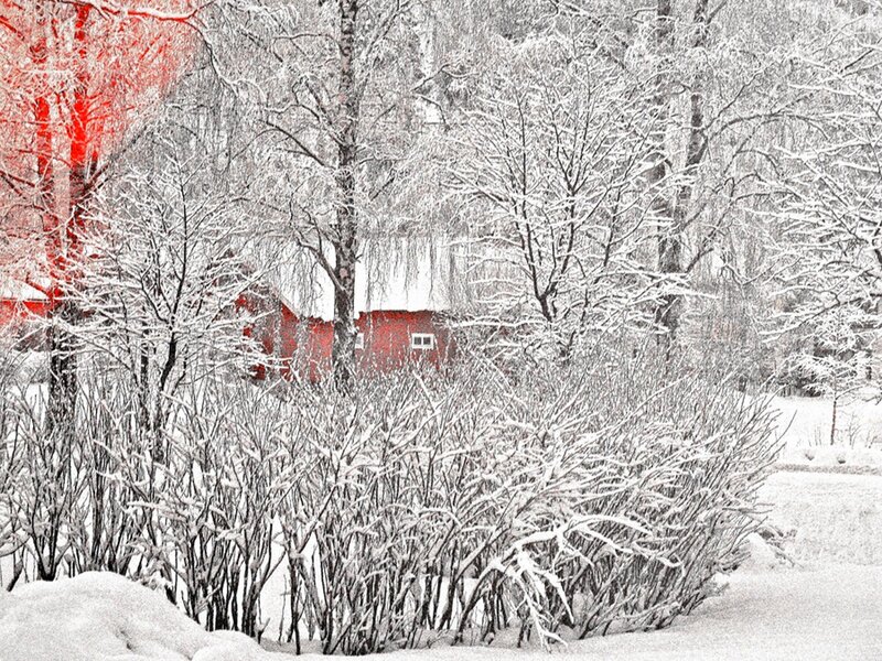 Red Barn in Snow — White, Serene, Winter, Photograph