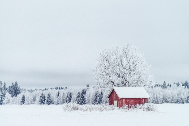Red Barn in Snow — White, Serene, Winter, Photograph, Tree