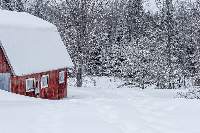 Red Barn in Snow — White, Serene, Winter, Photograph, Trees, Forest