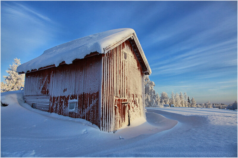 Red Barn in Snow — White, Serene, Winter, Photograph, Trees