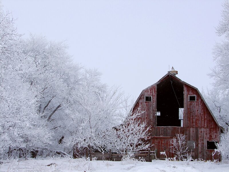 Red Barn in Snow — White