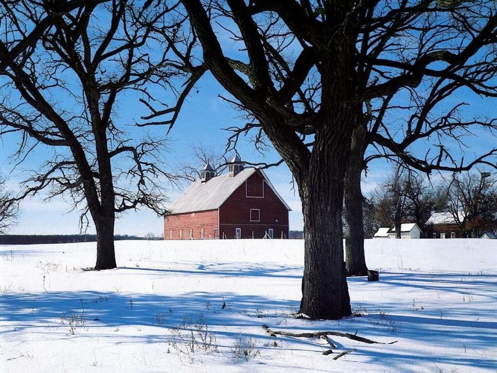 Red barn in snowy field