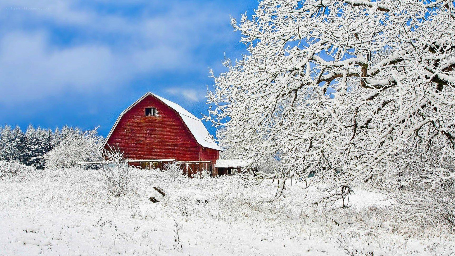 Red barn in snowy landscape