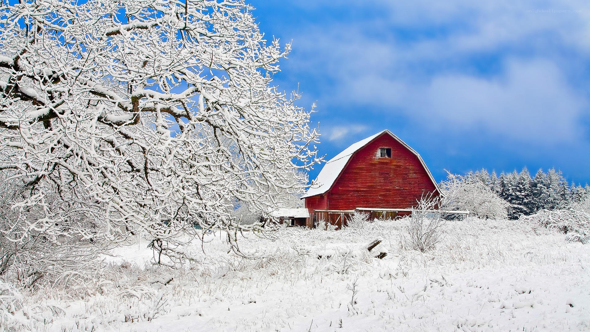 Red barn in snowy landscape